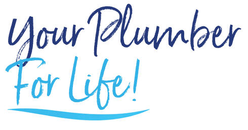 ypfl web